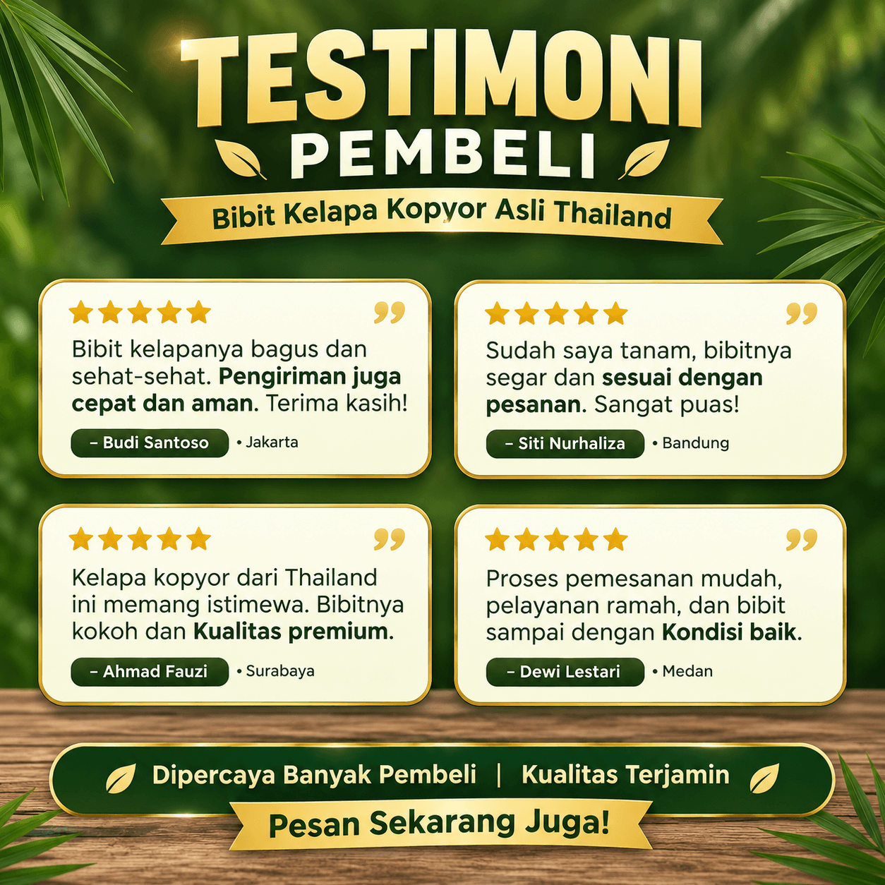 Testimoni pembeli bibit kelapa kopyor